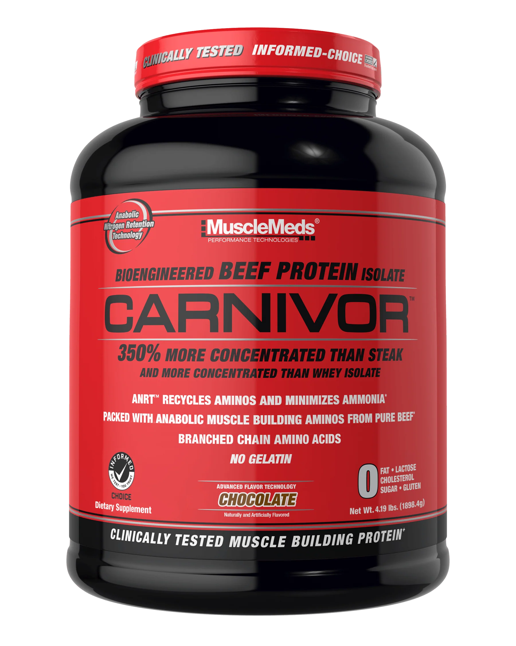 ๐๐ฎ๐ฌ๐๐ฅ๐๐๐๐๐ฌ โ ๐๐๐ซ๐ง๐ข๐ฏ๐จ๐ซ โ ๐๐๐๐ ๐๐ซ๐จ๐ญ๐๐ข๐ง