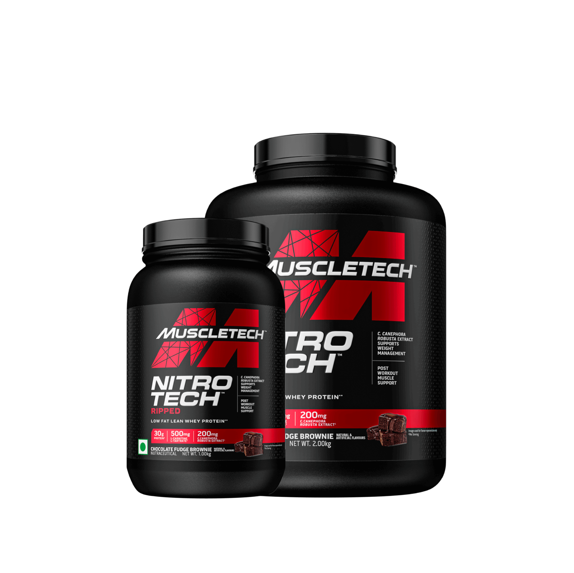 𝐍𝐢𝐭𝐫𝐨-𝐓𝐞𝐜𝐡 𝐑𝐢𝐩𝐩𝐞𝐝 𝐁𝐲 𝐌𝐮𝐬𝐜𝐥𝐞𝐓𝐞𝐜𝐡 | 𝐋𝐞𝐚𝐧 𝐏𝐫𝐨𝐭𝐞𝐢𝐧 + 𝐖𝐞𝐢𝐠𝐡𝐭 𝐋𝐨𝐬𝐬 𝐅𝐨𝐫𝐦𝐮𝐥𝐚